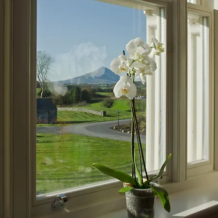 Country ווסטפורט